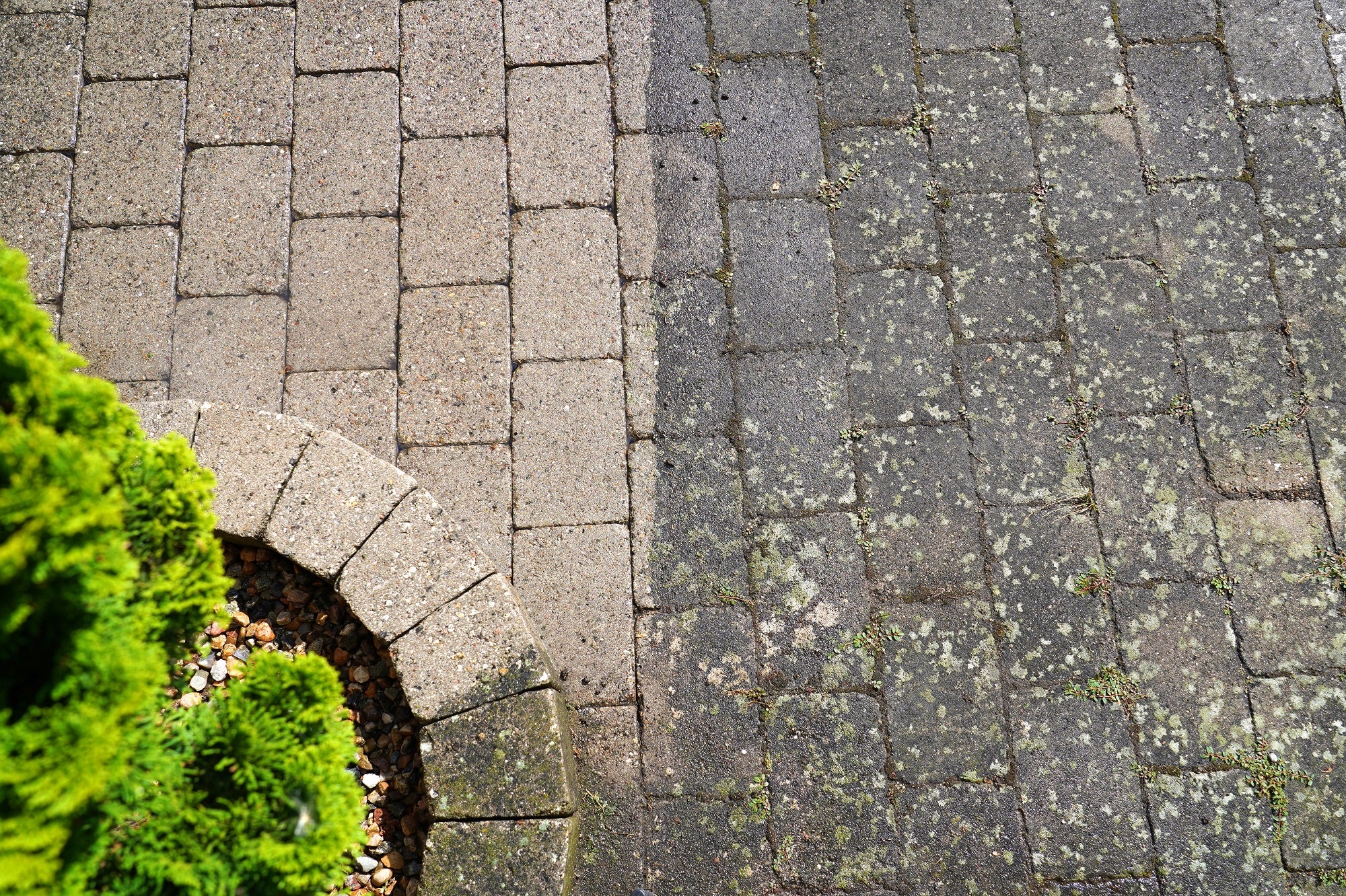 AdobeStock_449727026_88c95be0-c087-426e-8e44-927e82a6a629.jpg